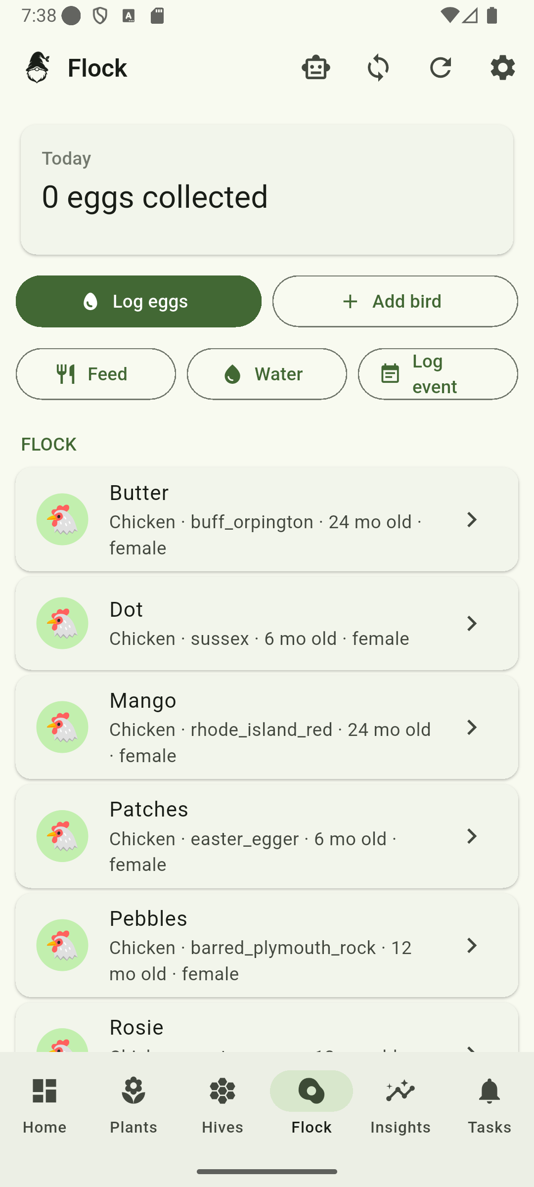 Flock tab showing six hens with breed, age, and daily egg log